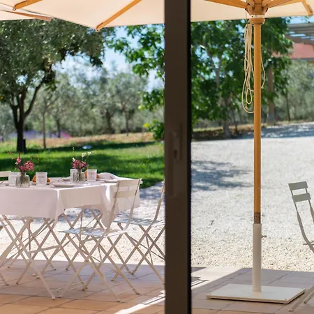 B&B Casale Savini-3