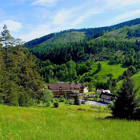 Wellnesshotel Tanne-2