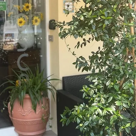 Hotel Garni Tosca-2