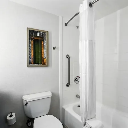 Hilton Garden Inn Houston/Sugar Land-3