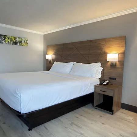 Wyndham Garden Summerville-2