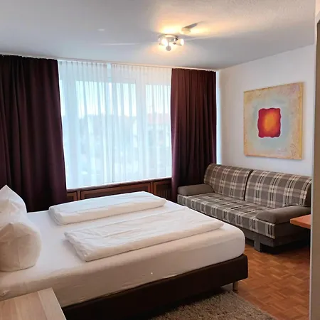 Hotel Zum Prinzen Sinsheim-2