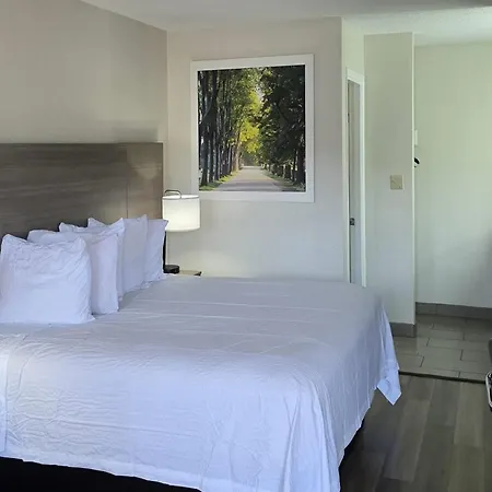 Days Inn By Wyndham San Marcos-2
