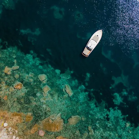 Il Pellicano-2