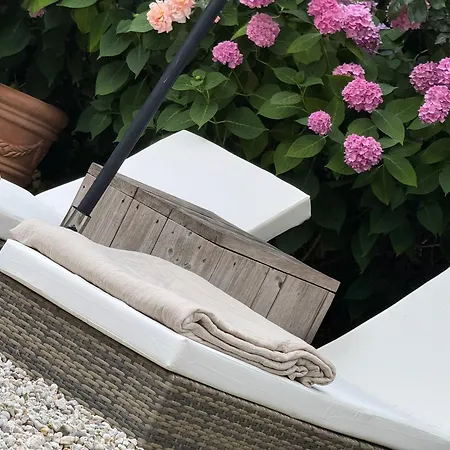 Cozy Boutique B&B De Roos&Garden Lounge-3