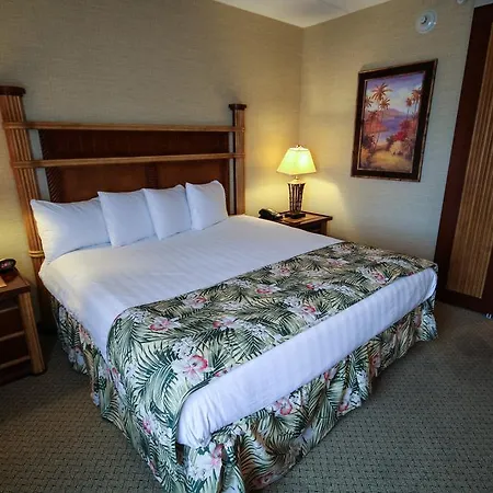 Maui Sands Resort & Indoor Water Park-3