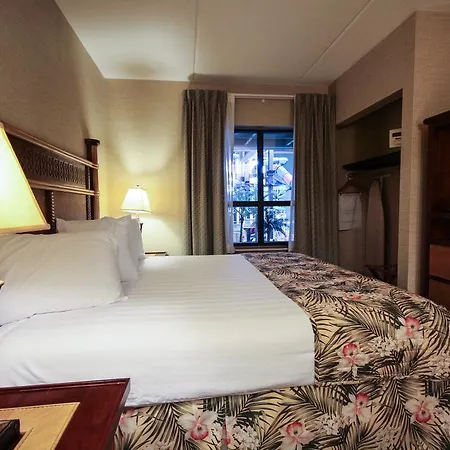 Maui Sands Resort & Indoor Water Park-2
