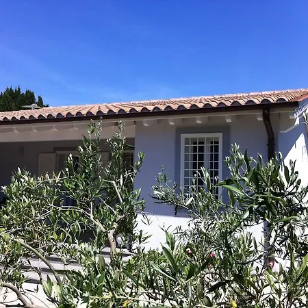 Skipper White Guest House-2