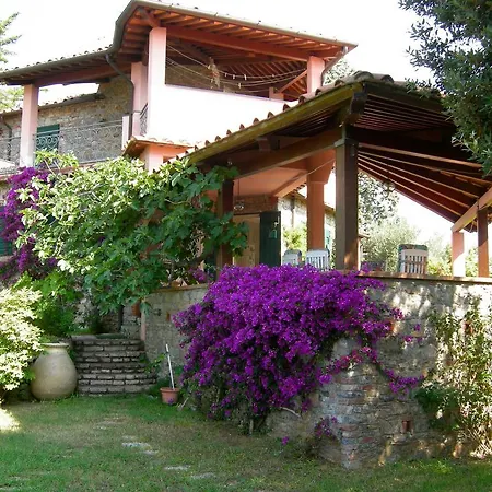 B&B Le Palme-2