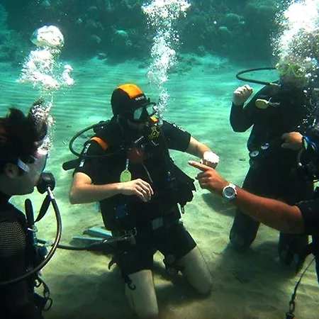 Arab Divers Dive Center&Bed&Breakfast-2