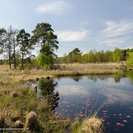De Roermondse Beleving-3