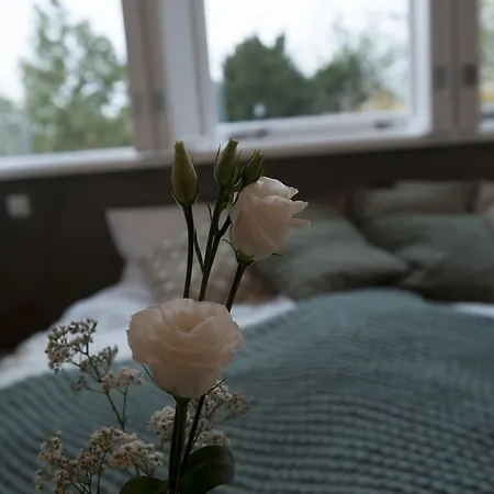 Boutique B&B Villa Heidetuin-2