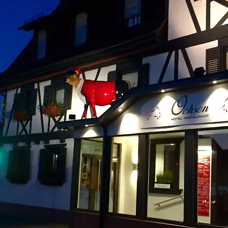 Hotel Ochsen-3