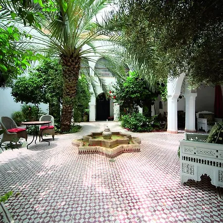 Riad Ifoulki-3