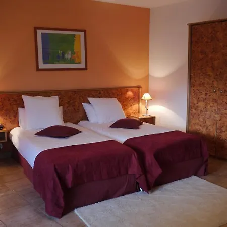 Hotel Sud Alsace-2