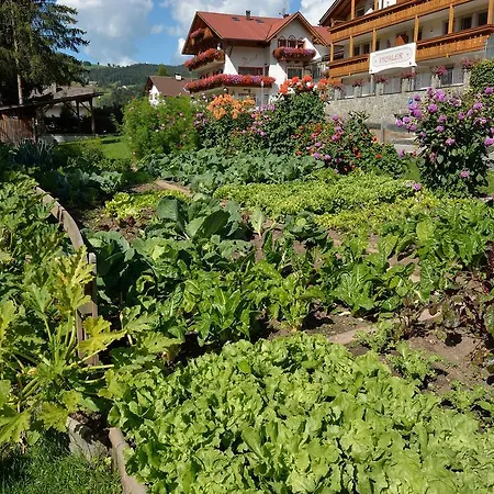 Garni-Hotel Pichler-3
