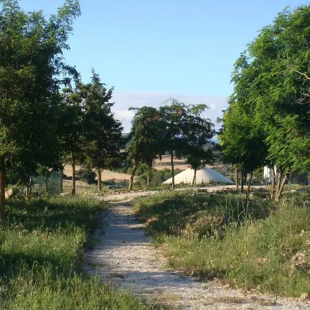 Campo de Reyes-3