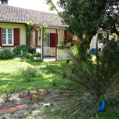 Guesthouse La Burle-2