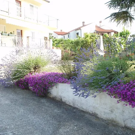 Guest House Jasmin-3