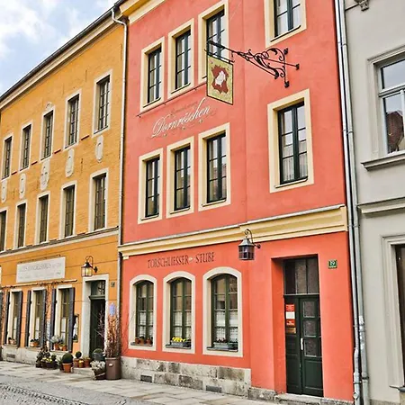Altes Handelshaus Plauen-3