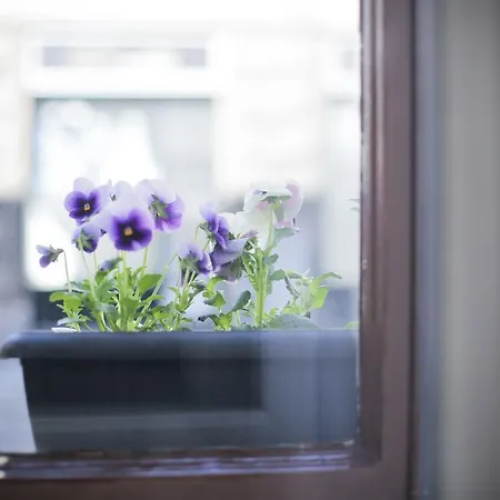 4Citywindows-3