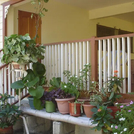 Finjam Cottage-2