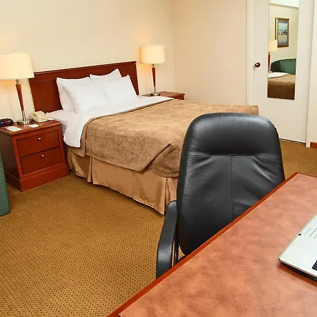 Quality Hotel Ottawa-3