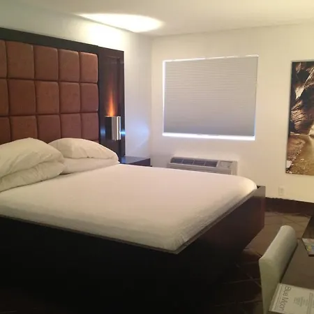 Blue Moon Gay Resort-3