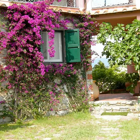 B&B Le Palme-3