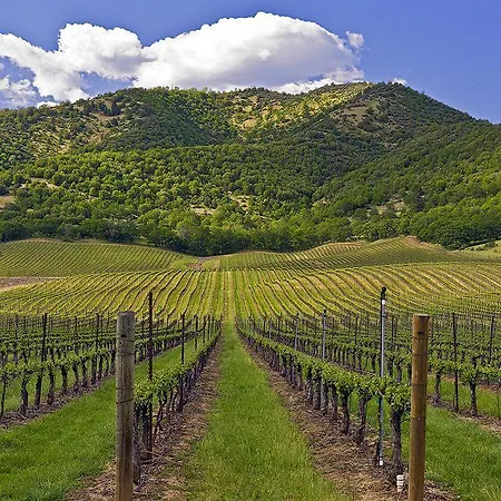 Rogue Valley Inn-2