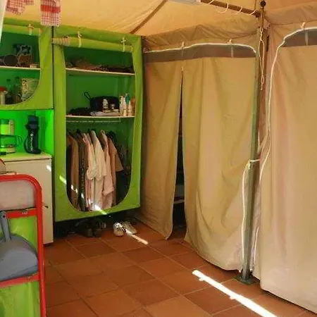 Pola Camping-2