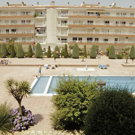 Ar Lotus Apts.-2
