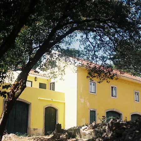 The Five House-2