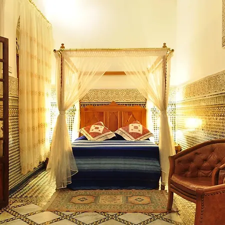 Riad Sara-3