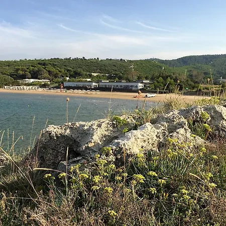 Life Resort Gusmay Beach & Spa - Hotel Cala Del Turco-2