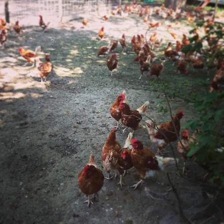 La Ferme Du Lignon-2