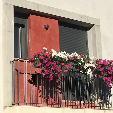 Villa Iacca-3