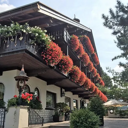 Hotel Villa Wilma-3