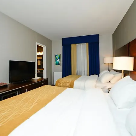 Comfort Inn Toronto City Centre-3