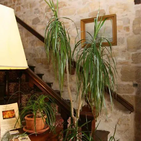 Château la Fleunie-2