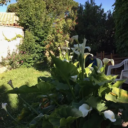 Chez Marydidou : Chambres d'hôtes-2