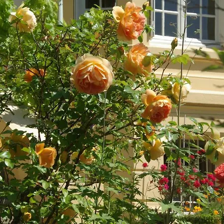 Villa Roassieux-3
