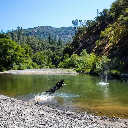 Russian River Camping Resort One-Bedroom Cabin 2-3