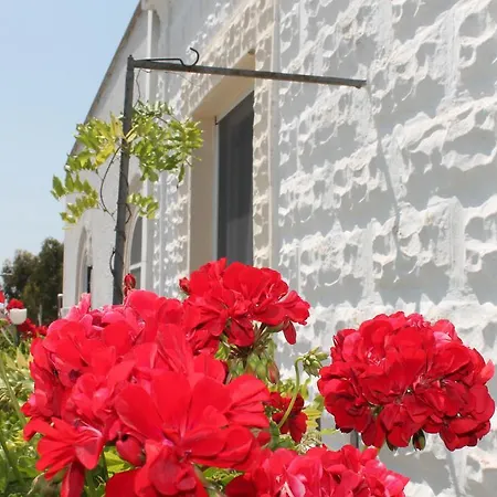 B&B Stella Marina-2