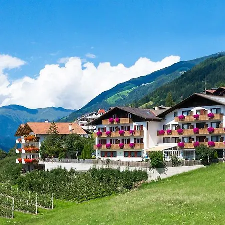 Pension Grafenau-2
