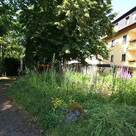 Hotel Weidenau-2