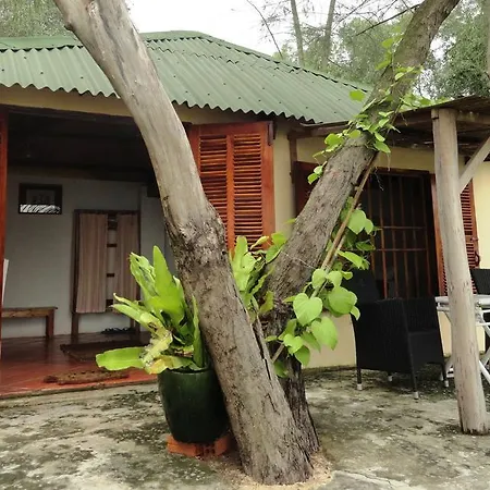 Bo Resort-2