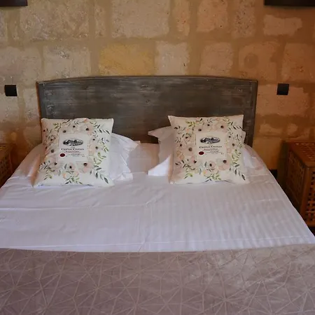 Vignobles Fabris-3