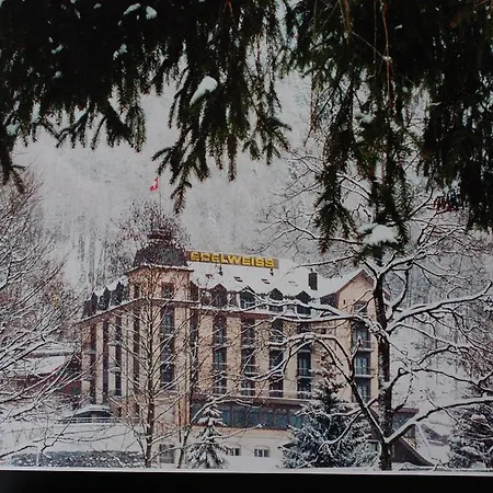Hotel Edelweiss-3