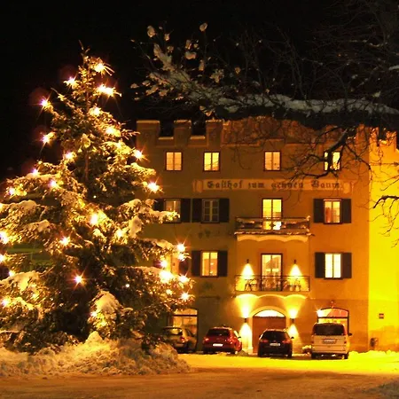 Hotel Gasthof Gruener Baum-2